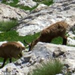 screenshot_20250517_161304