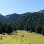 παρνασσος (11)