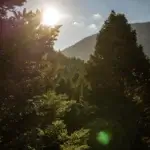 παρνασσος (2)