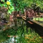 παρνασσος (3)