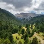 παρνασσος (6)