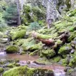 παρνασσος (8)