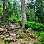 παρνασσος (9)