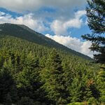 593950426_891778616516937_5510800799279524402_n