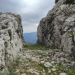 pausania (8)