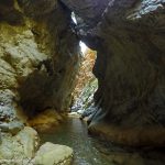 Νηλέας-1