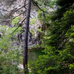 νηλεα 10