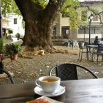 tithorea-village-square-plane-tree-cafe